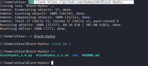 Black Hydra on Kali Linux